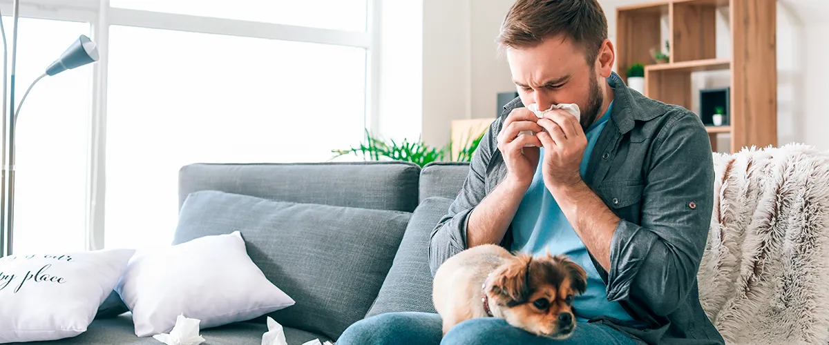 Hondenallergie: leven met een hondenallergie