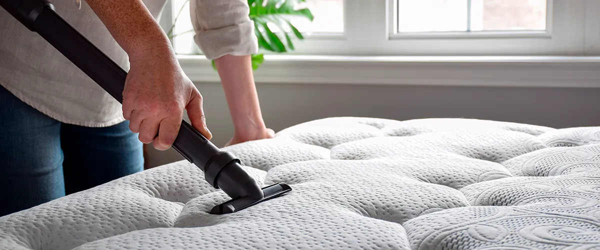 Huisstofmijtallergie: alles wat je moet weten