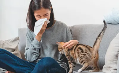 Kattenallergie: leven met een kattenallergie