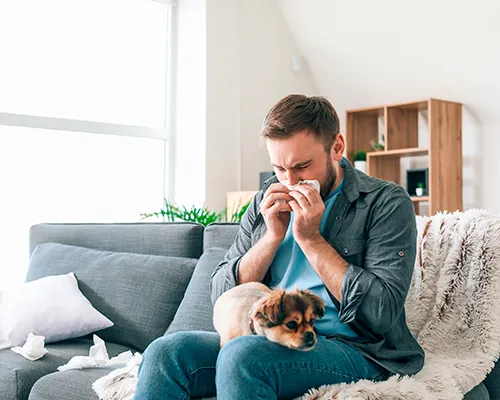 Hondenallergie: leven met een hondenallergie