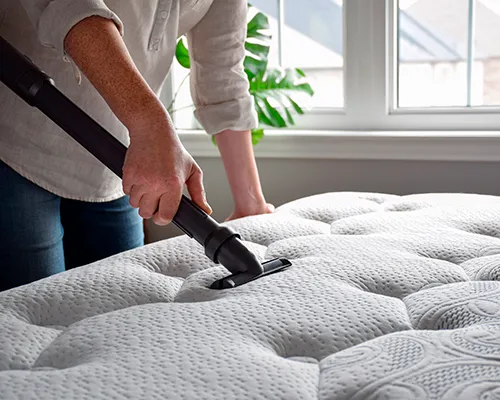 Huisstofmijtallergie: alles wat je moet weten