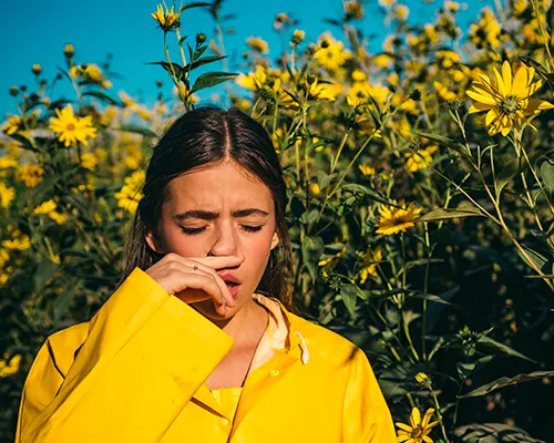 Pollenallergie: alles wat je moet weten